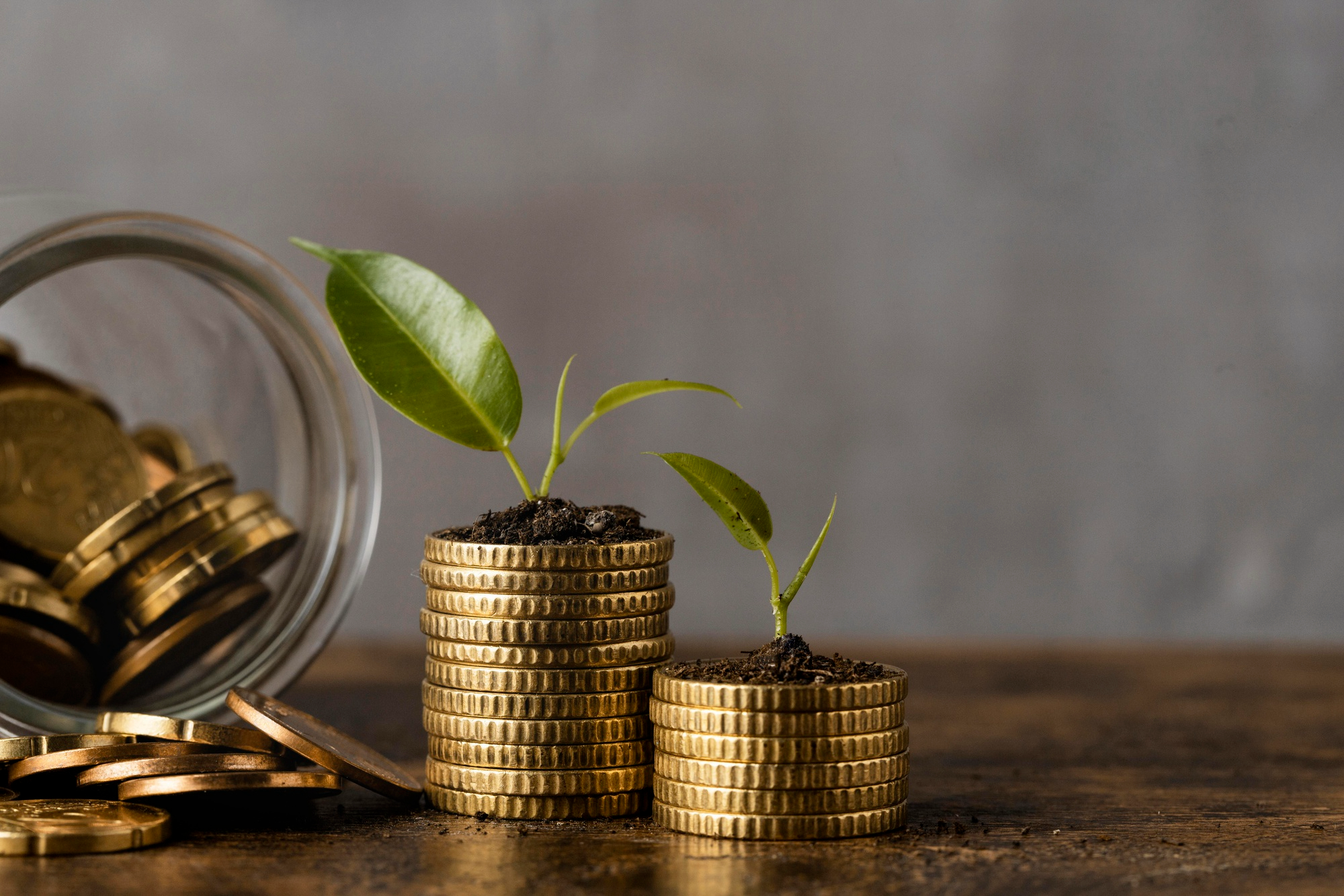 ACME Wealth Spotlight