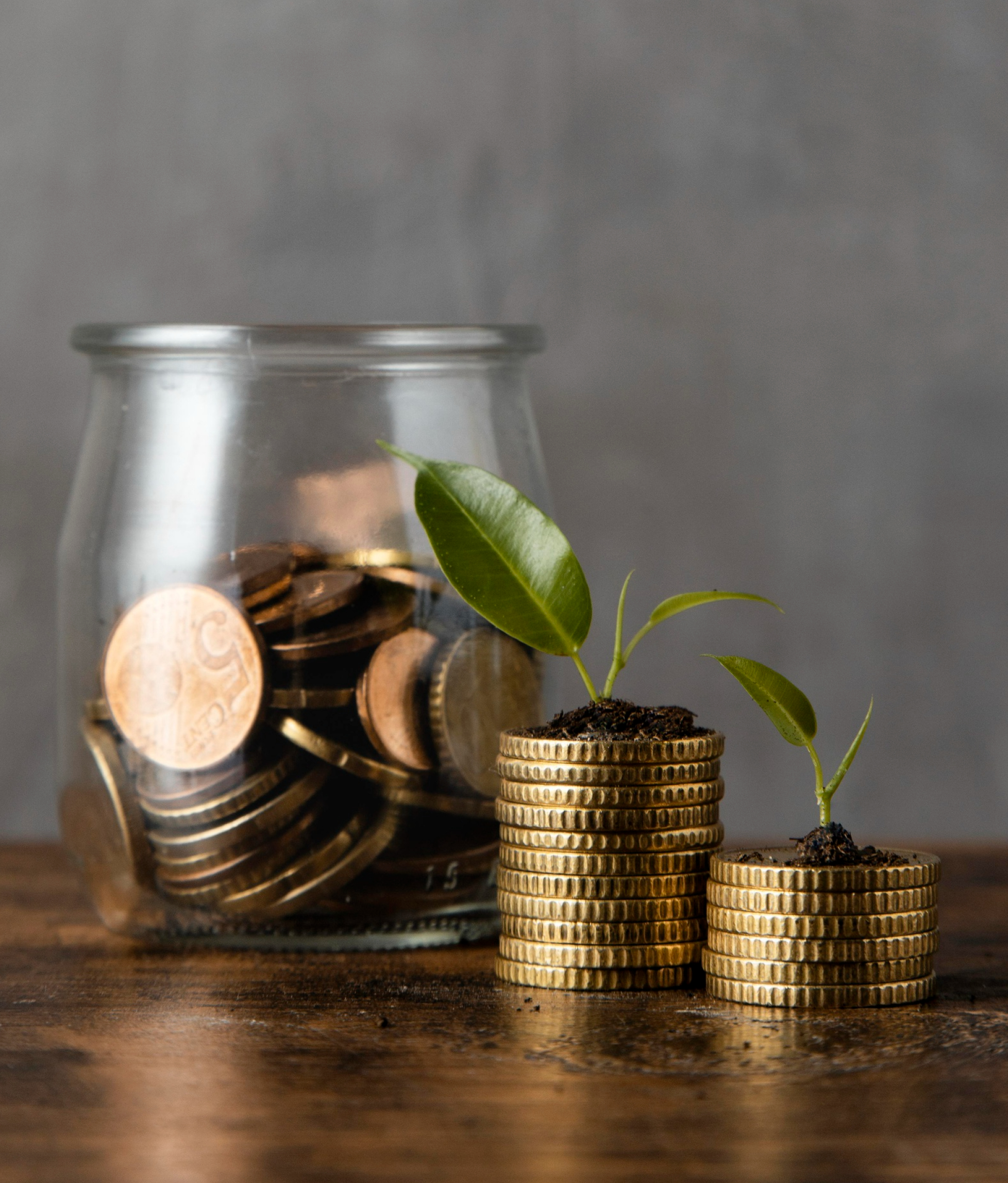 Wealth Management